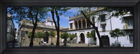 Framed Trees in front of buildings, Convento San Leandro, Plaza Pilatos, Seville, Spain Print