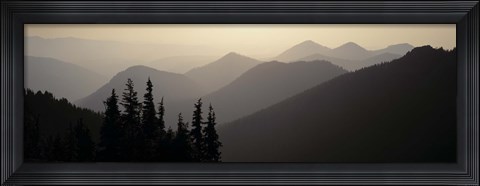Framed Mount Rainier National Park WA USA Print