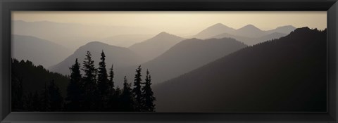 Framed Mount Rainier National Park WA USA Print