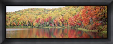 Framed Savoy Mountain State Forest, Massachusetts, USA Print