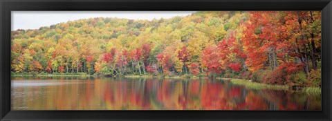 Framed Savoy Mountain State Forest, Massachusetts, USA Print