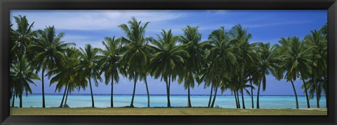 Framed Palms &amp; lagoon Aitutaki Cook Islands Print