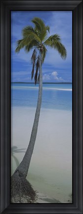 Framed Palm tree on the beach, One Foot Island, Aitutaki, Cook Islands Print