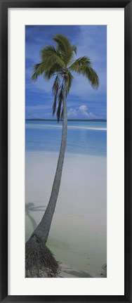 Framed Palm tree on the beach, One Foot Island, Aitutaki, Cook Islands Print