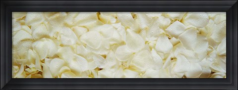 Framed White Rose Petals Print