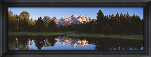 Framed Beaver Pond Grand Teton National Park WY Print