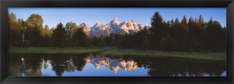 Framed Beaver Pond Grand Teton National Park WY Print