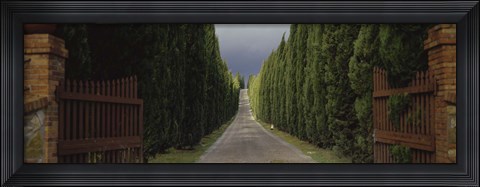 Framed Road, Tuscany, Italy, Print