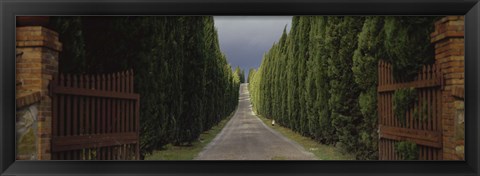 Framed Road, Tuscany, Italy, Print