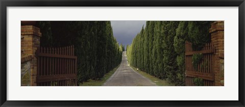 Framed Road, Tuscany, Italy, Print