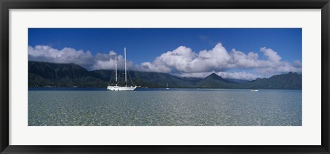 Framed Sailboat in a bay, Kaneohe Bay, Oahu, Hawaii, USA Print