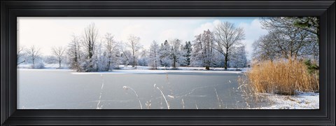 Framed Snow covered trees near a lake, Lake Schubelweiher Kusnacht, Zurich, Switzerland Print