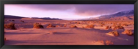 Framed Olancha Sand Dunes, Olancha, California, USA Print