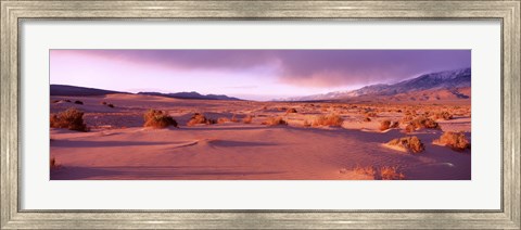 Framed Olancha Sand Dunes, Olancha, California, USA Print