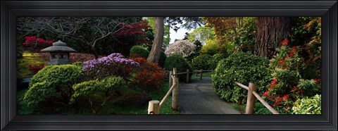 Framed Japanese Tea Garden, San Francisco, California, USA Print
