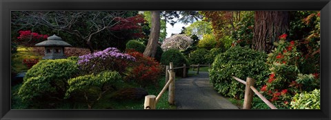 Framed Japanese Tea Garden, San Francisco, California, USA Print