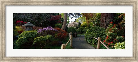 Framed Japanese Tea Garden, San Francisco, California, USA Print