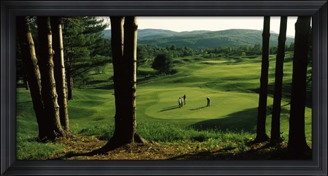 Framed Four people playing golf, Country Club Of Vermont, Waterbury, Washington County, Vermont, USA Print