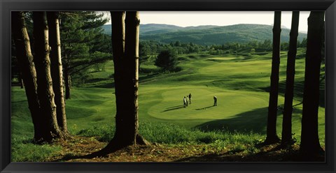 Framed Four people playing golf, Country Club Of Vermont, Waterbury, Washington County, Vermont, USA Print