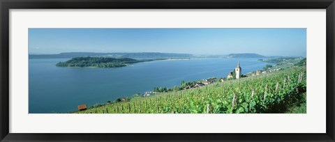 Framed Vineyard near a village, Lake Biel, Ligerz, Canton of Bern, Switzerland Print