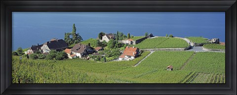 Framed Aerial View Of Vineyards By A Lake, Lake Geneva, Vaud, Switzerland Print