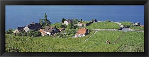 Framed Aerial View Of Vineyards By A Lake, Lake Geneva, Vaud, Switzerland Print