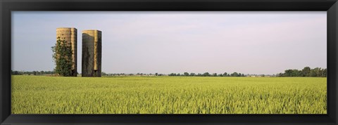 Framed USA, Arkansas, View of grain silos in a field Print