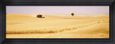 Framed Tractor, Wheat Field, Plateau De Valensole, France Print