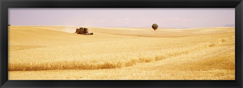 Framed Tractor, Wheat Field, Plateau De Valensole, France Print