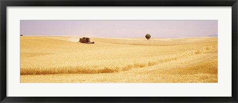 Framed Tractor, Wheat Field, Plateau De Valensole, France Print