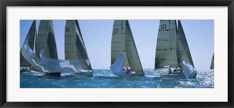 Framed Sailboats, Key West, Florida Print