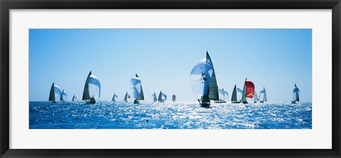 Framed Sailboat Race, Key West Florida, USA Print