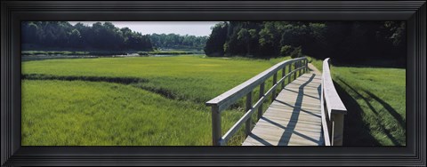 Framed Boardwalk in a field, Nauset Marsh, Cape Cod, Massachusetts, USA Print