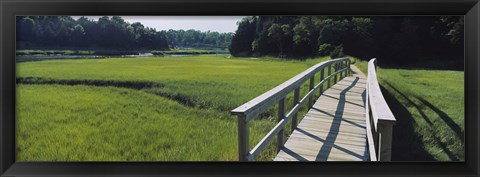 Framed Boardwalk in a field, Nauset Marsh, Cape Cod, Massachusetts, USA Print