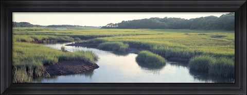 Framed Salt Marsh Cape Cod MA USA Print