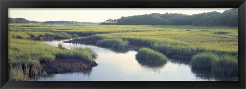 Framed Salt Marsh Cape Cod MA USA Print