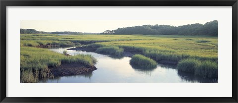 Framed Salt Marsh Cape Cod MA USA Print