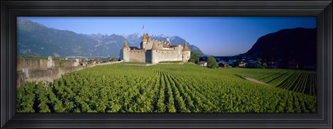 Framed Vineyard in front of a castle, Aigle Castle, Musee de la Vigne et du Vin, Aigle, Vaud, Switzerland Print