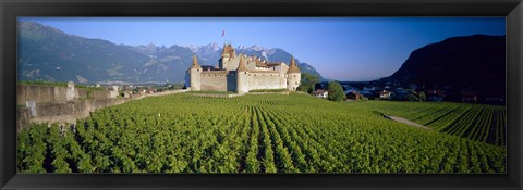 Framed Vineyard in front of a castle, Aigle Castle, Musee de la Vigne et du Vin, Aigle, Vaud, Switzerland Print