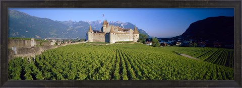 Framed Vineyard in front of a castle, Aigle Castle, Musee de la Vigne et du Vin, Aigle, Vaud, Switzerland Print