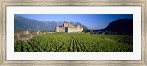 Framed Vineyard in front of a castle, Aigle Castle, Musee de la Vigne et du Vin, Aigle, Vaud, Switzerland Print