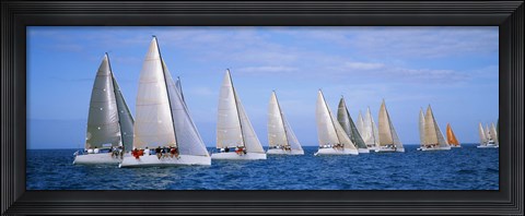 Framed Yachts in the ocean, Key West, Florida, USA Print