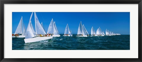 Framed Sailboats racing in the ocean, Key West, Florida Print