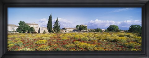 Framed Buildings in a field, Majorca, Spain Print