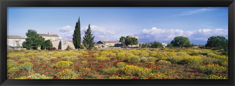 Framed Buildings in a field, Majorca, Spain Print