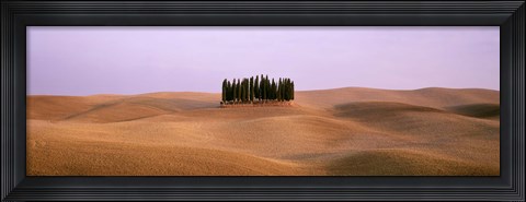 Framed Trees on a rolling landscape, Tuscany, Italy Print