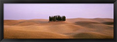 Framed Trees on a rolling landscape, Tuscany, Italy Print