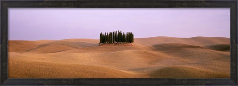 Framed Trees on a rolling landscape, Tuscany, Italy Print