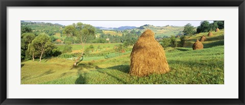 Framed Farm, Transylvania, Romania Print