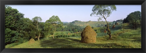 Framed Haystack at the hillside, Transylvania, Romania Print